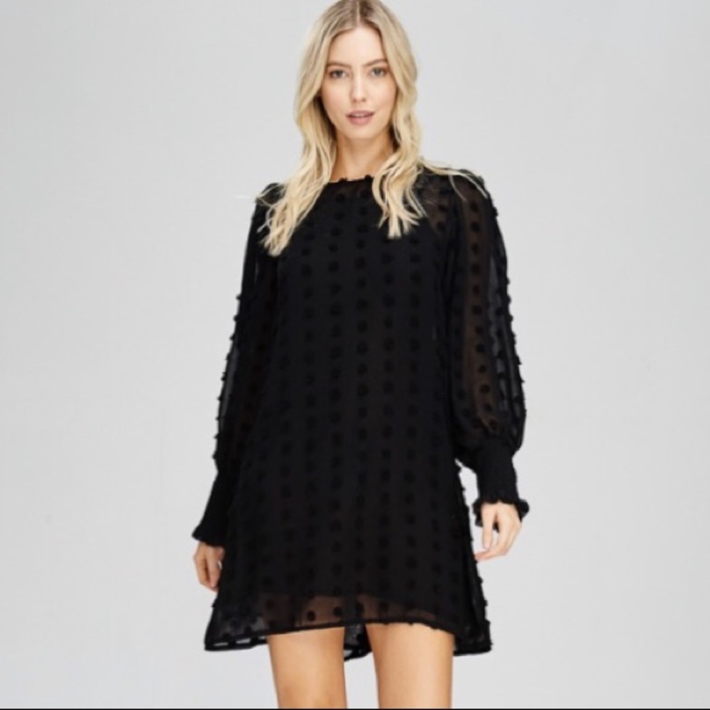 Dotted simi sheer mini dress (comes with slip